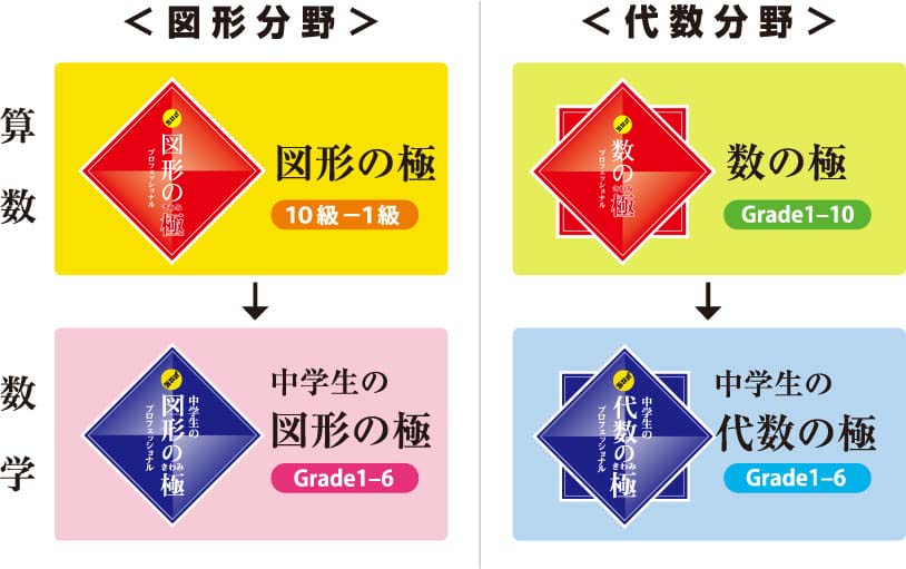 算数・数学を「図形」と「代数」の2分野に分けることにより、体系立てて学ぶことができます。